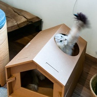 CARTON好厝 五角瓦楞紙貓屋 (含專用貓抓板)