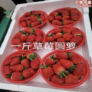 一斤裝塑料籮楊梅籃草莓籃米蘿水果籃洗米篩水果米蘿