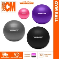 Gym Ball**