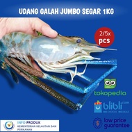 UDANG GALAH JUMBO SEGAR 4-6 Ekor