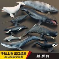 兒童仿真動物玩具鯨魚動物模型藍鯨座頭鯨虎鯨海豚白鯨獨角鯨認知