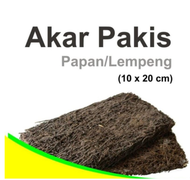Media Tanam akar Pakis Lempengan / Media Pakis Papan