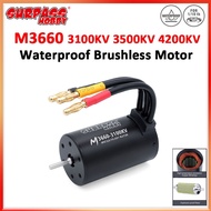 SURPASS HOBBY M3660 3100KV 3500KV 4200KV Waterproof Brushless Motor 3.175mm Shaft For 1/10 RC Truck 