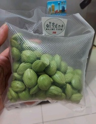 PETE KUPAS SEGAR KEMASAN 500GR/PETE SEGAR PILIHAN/PETE TUA SUPER/PETAI SEGAR/PETE SEGAR SUPERAN BERK