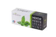 法國VÉRITABLE®專用SPEARMINT LINGOT®薄荷葉