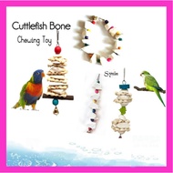 🇸🇬 Parrot Chew Toy Cuttlefish Bone Chew Toys For Pet Budgie
