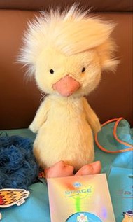 「sold」Jellycat 炸毛鴨