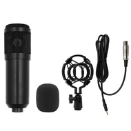 ♥ SFREE Shipping ♥ BM-800 Professional Condenser Microphone Kit BM 800 Karaoke Studio Mic compatible