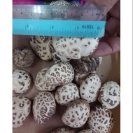 Premium Shittake Dried Mushroom*1x200g*实拍优质天白大花菇*1x200g