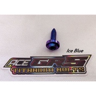 body screw flat gr5 titanium bolts flat
