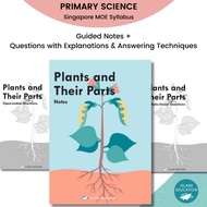 Primary 3/4/5/6 Science Guided Notes & Questions: Plants and Their Parts  | More than an Assessment 