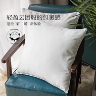 Pillow Pillow Pillow Core Pillow Cushion Cushion Pillow Core Cushion Core White Square Pillow Core