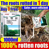 The roots rotted in 1 day！ racun pokok besar paling kuat cepat mati tree killer 500g Formula pekat r