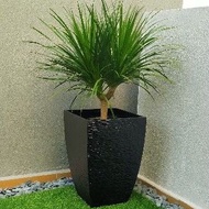 Pasu Fiber outdoor vase plant planter box pot.