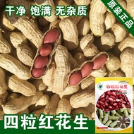 Peanut Seeds Peanut Seeds Vegetable Seeds Wholesale Vegetable Seeds Vegetable Seeds Vegetable Seeds 