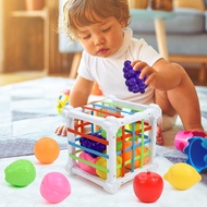 Baby Toys9Early education for 6-month-old babies6Over one month old0One1Saisaisel Educational Toys81