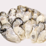 [TASTY FROZEN] Oyster Meat 蚝煎肉 (800G~KG)
