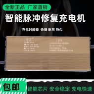 High-Power Lead-Acid Charger 48v/60v72v Dry Water Battery Electric Three-Wheel Four-Wheel Battery Ch