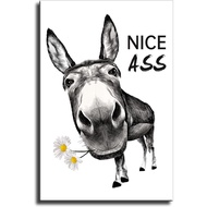 Nice Ass Funny Donkey Poster Farmhouse Bathroom Canvas Wall Art Sign Decor Black White Butt Daisy Pi