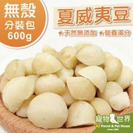 缺《寵物鳥世界》藍亞仕 夏威夷豆/夏威夷果仁(分裝包/600g)│中/大型鸚 天然無殼堅果 鸚鵡零嘴 鳥點心 CC143