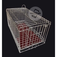 Bird Travel Carrier Metal Cage 5x7, 5x8, 5x10 & 5x10 with divider