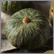 ∲ ☫ Squash Kabocha Seeds - Japanese Squash Seeds - Squash Seeds - Heirloom Squash Seeds - Rare Seed