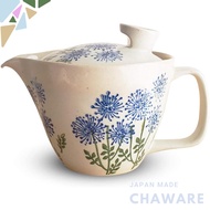 J-kitchens Teapot with Strainer, Hasami Porcelain, Made in Japan, 240ml, Large, Suitable for 1 to 2 