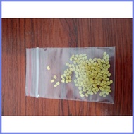⭐ ∇ Hot chili (labuyo) seeds 10pcs