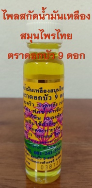 น้ำมันเหลืองไพลสกัด ตราดอกบัว 9 ดอก สมุนไพรไทย-จีน แท้