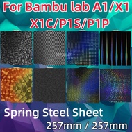 257x257 For Bambu Lab Build Plate x1 X1C Holographic Pey Sheet Pet Pei Texture Peo Sheet For Bambula