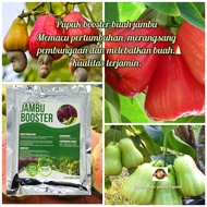 Pupuk Pelebat Jambu Organik Pupuk Boster Jambu Cepat Berbuah Lebat Pupuk Jambu Anti Rontok Pupuk Jambu Air Pupuk Jambu Kristal Pupuk Jambu Boll Pupuk Jambu Jamaika