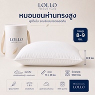 Lollo หมอนหนุนขนเป็ด Down Pillow หมอนโรงแรม 5 ดาว Hotel Pillow นุ่มฟูพิเศษ รองรับต้นคอ ระบายอากาศดี 