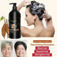 Black hair shampoo Polygonum multiflorum black hair dye shampoo 300ml