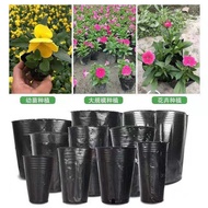 Nutrition Bowl Seedling Bag Nutrition Bag Nutrition Cup Seedling Pot Planting Point Pot Seedling Cup