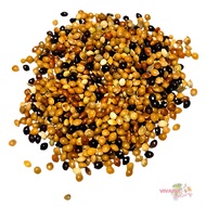 (SG) Fresh Natural Mixed Millet for Birds Parrots Hamsters