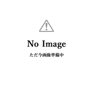 RZ-100Nウレタンサンジング（下塗り塗料）　30kgセット(A液15kg・B液15kg)