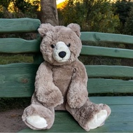 Aurora Bear Humphrey Bear | Teddy Bear | Export Doll | London jellycat