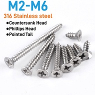 Phillips Countersunk Self-Tapping Screw 316 Stainless Steel Extension Screw Flat Head Screw Bolt Woo
