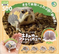 青蛙 蛙 frog 饅頭蛙 扭蛋