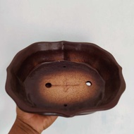 OVAL STARFRUIT CERAMIC POT p 18.6 x w 12 x t 4