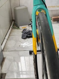 Sava sr 公路車 急 只受現金 請留電話 想要gaint vook 或加錢換