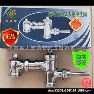 Guangxi Pingnan Plumbing Factory Osmanthus Brand A1B1, A4B1 Horizontal Handle Delay Stool Flush Valv