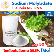 โซเดียมโมลิบเดต Sodium Molybdate Mo 39.5% ผงจุลธาตุ โมลิบดินั่ม ส่วนผสมแม่ปุ๋ยเอบี ไฮโดรโปนิกส์ ขนาด