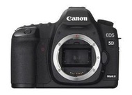 彩色鳥 (相機出租**鏡頭出租) Canon 5D2 + Sigma APO 120-300mm f2.8 EX DG