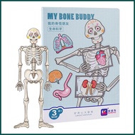 Human Anatomy Puzzle Anatomy Play Set Human Body Puzzle Body Parts Organs Muscles Skeleton and Bone 