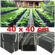 40x40 Sitting Polybag 1/ 2 Kg Plant Polybag Plastic 40 x 40 cm 1kg 40cm