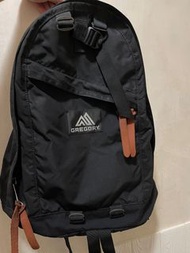 Gregory Backpack