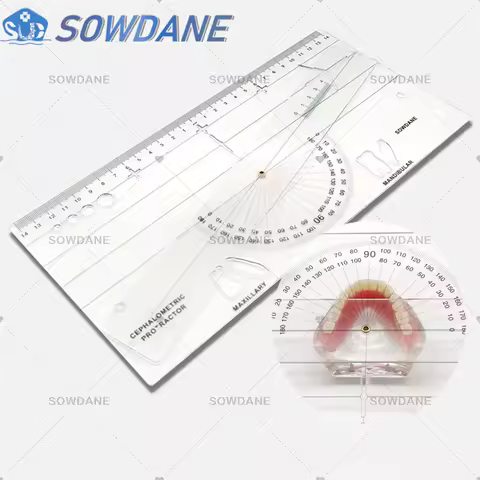 New Dental Guide Plate Dental Cephalometric Ruler X-ray Protractor Measuring Ruler