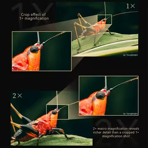 7Artisans 65mm T2.9 Macro 2X INFINTE Cine Lens Full Frame Manual Focus for Nikon Z Sony E Canon RF M