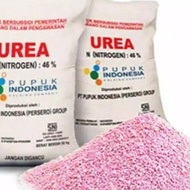 New pupuk urea 50 kg !